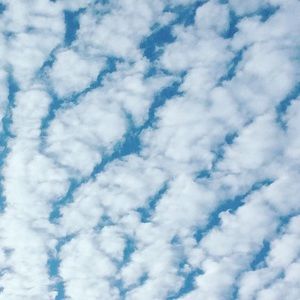 Meet your Posher, Audrey